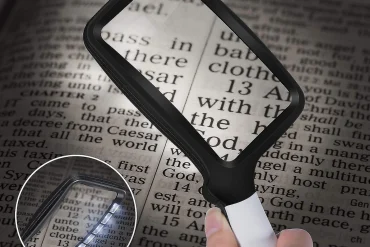 Plantes d’intérieur : cultiver la positivité et l’énergie zen chez soi